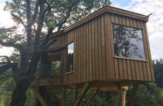 Baumhaus Goldegg
